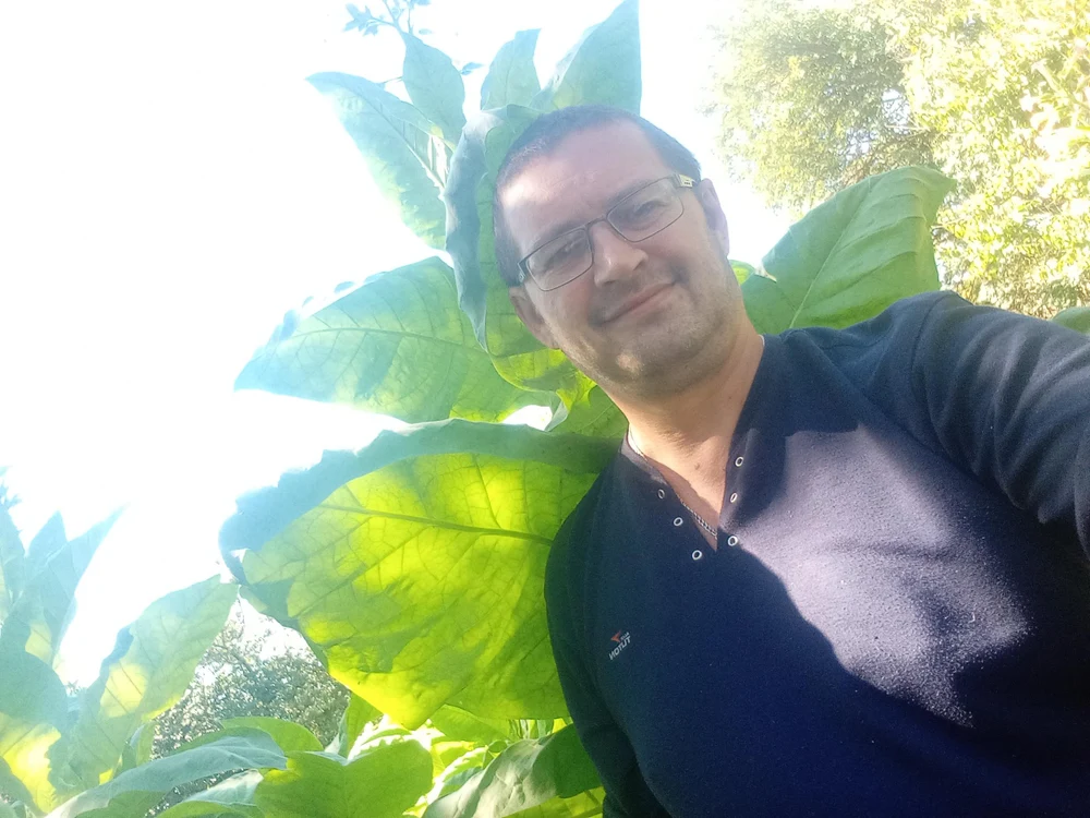 Натуральный фермерский табак из Ставрополья.